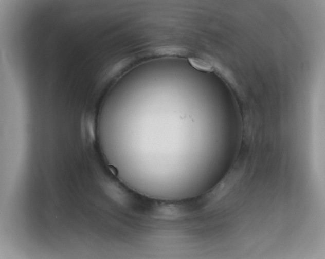 X0000110710062200906191556