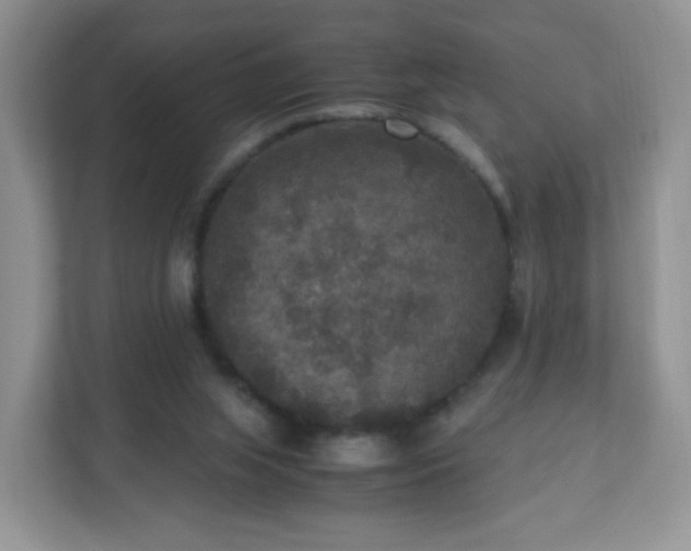 X0000110710063200906191556