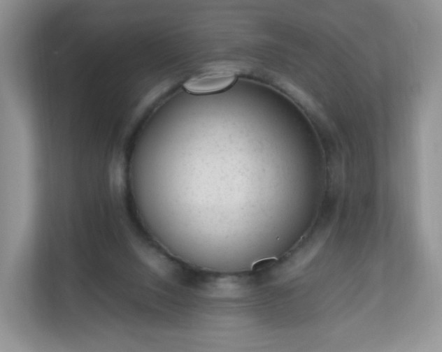 X0000110710064200906191556
