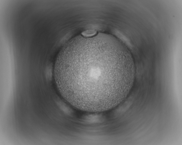 X0000110710065200906191556