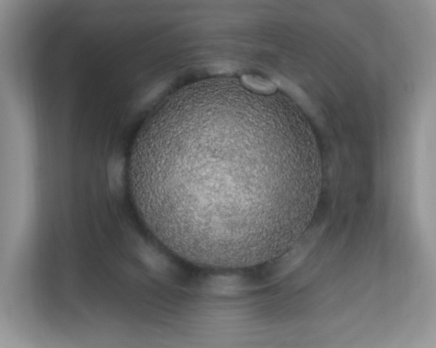X0000110710066200906191556