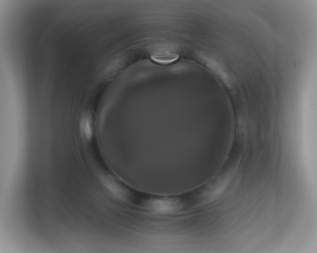 X0000110710069200906191556