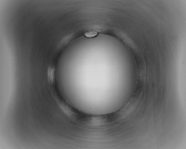 X0000110710070200906191556