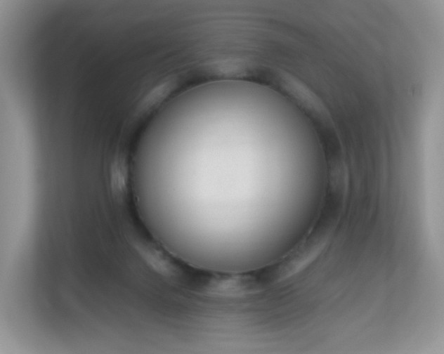 X0000110710072200906191556