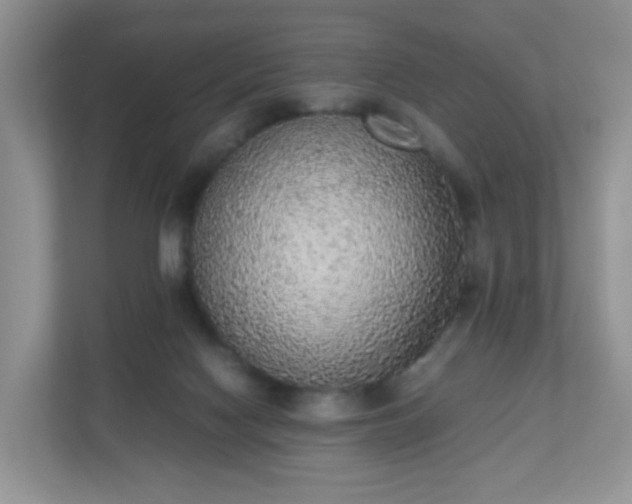 X0000110710074200906191556