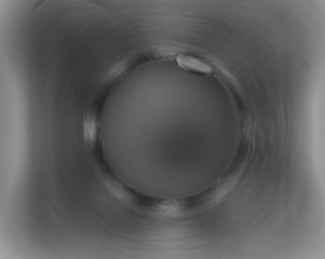 X0000110710076200906191556
