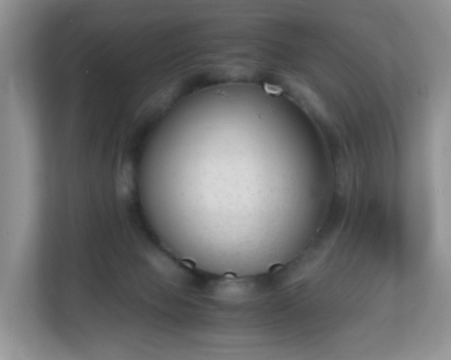 X0000110710077200906191556