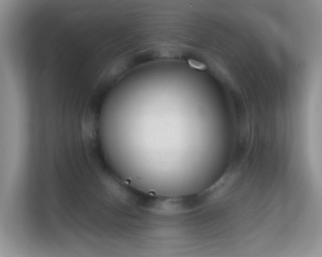 X0000110710078200906191556