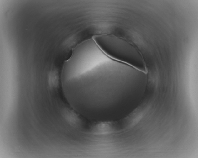 X0000110710080200906191556