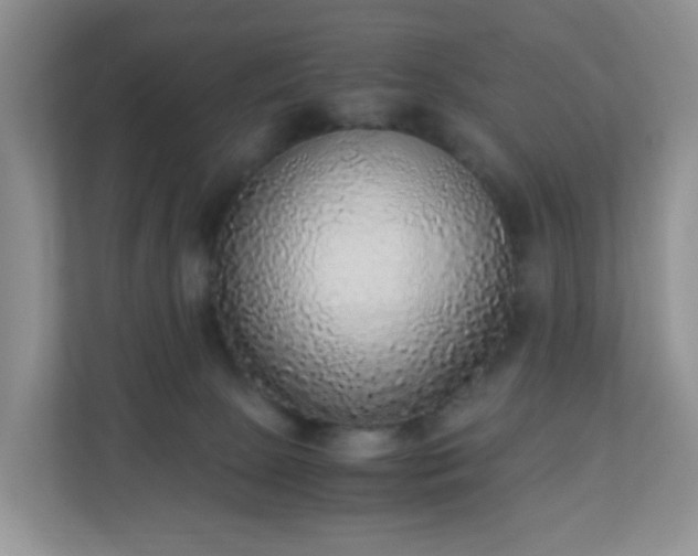 X0000110710081200906191556