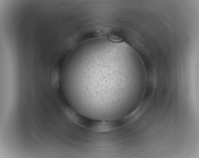 X0000110710082200906191556
