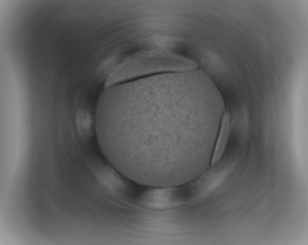 X0000110710084200906191556