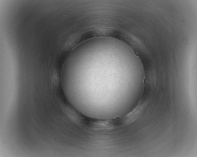 X0000110710086200906191556