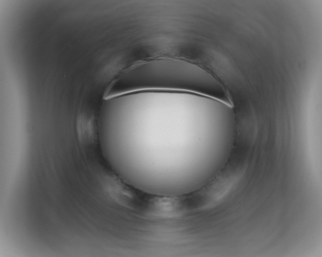 X0000110710088200906191556