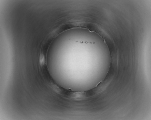 X0000110710089200906191556