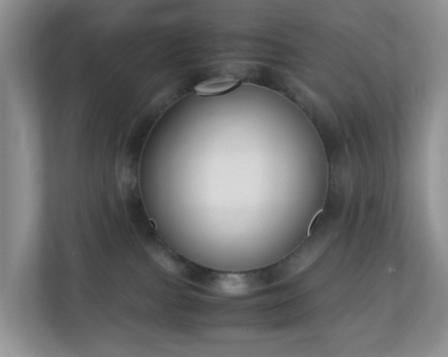 X0000110710091200906191556