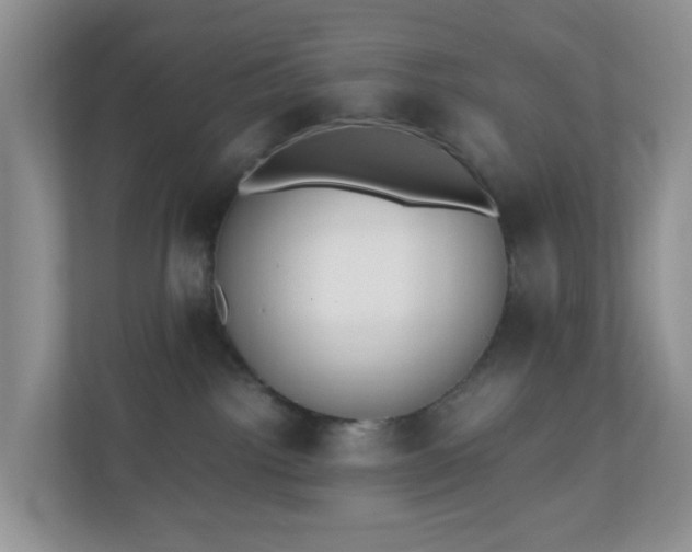 X0000110710092200906191556