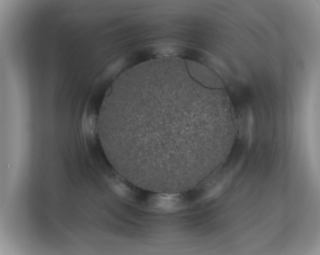 X0000110710093200906191556