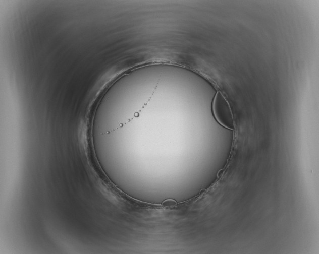 X0000110710098200906191555