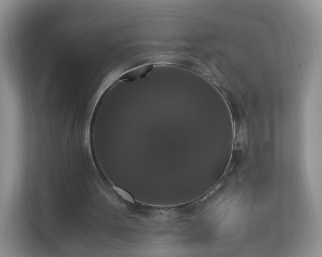 X0000110710099200906191555