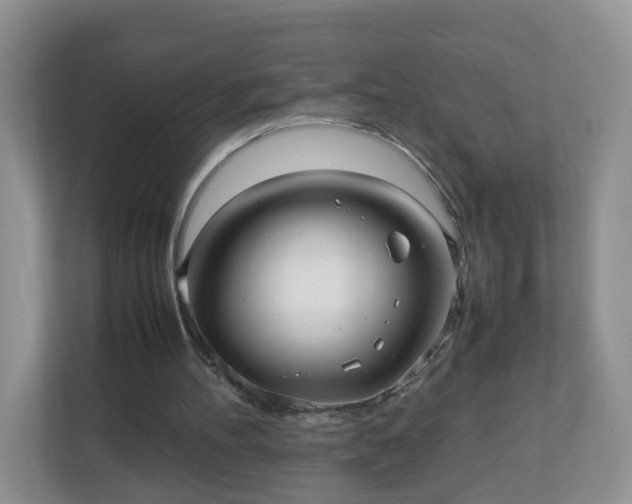 X0000110710100200906191555
