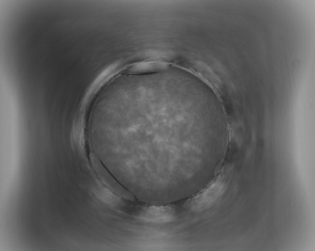 X0000110710101200906191555