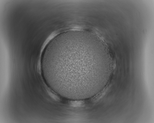 X0000110710102200906191555