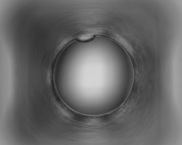 X0000110710107200906191555