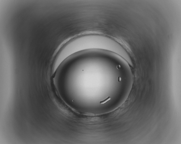 X0000110710108200906191555