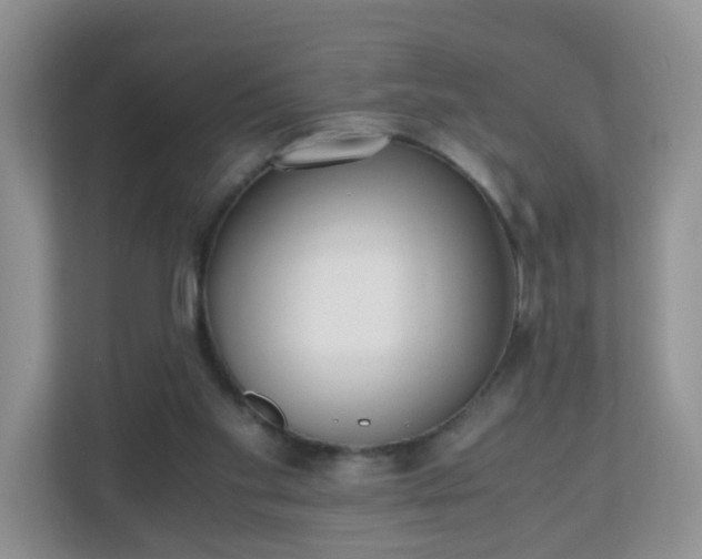 X0000110710109200906191555