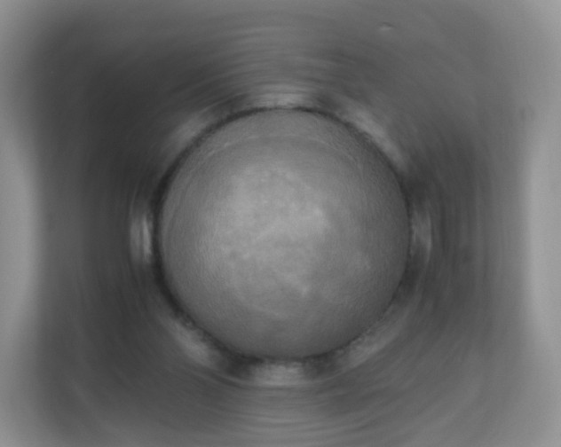 X0000110710110200906191555
