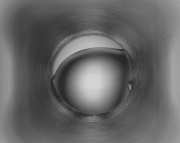 X0000110710112200906191555