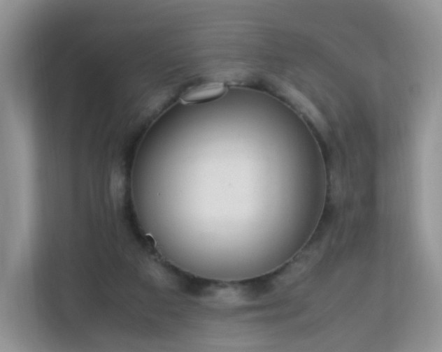 X0000110710113200906191555
