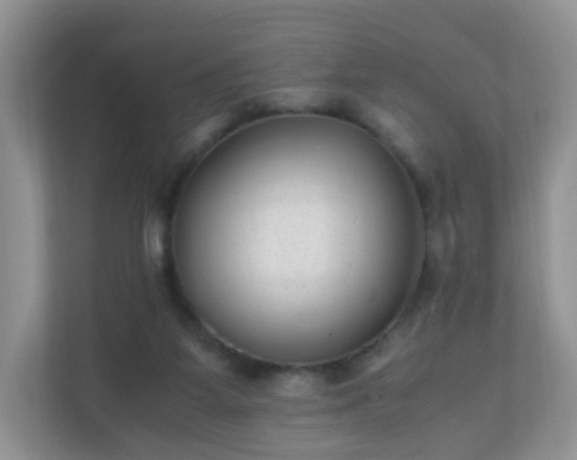 X0000110710115200906191555