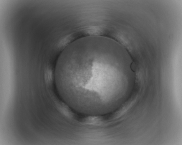 X0000110710117200906191555