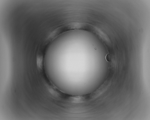 X0000110710118200906191555