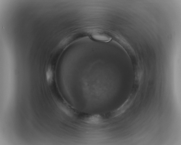 X0000110710124200906191555