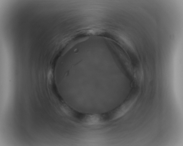 X0000110710127200906191555