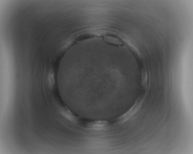X0000110710128200906191555