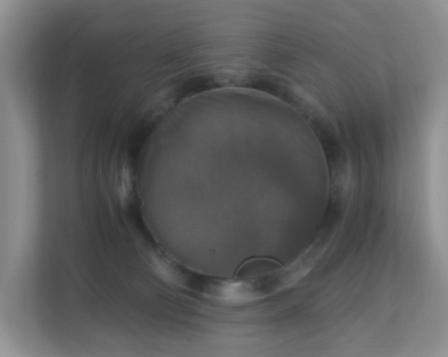 X0000110710130200906191555