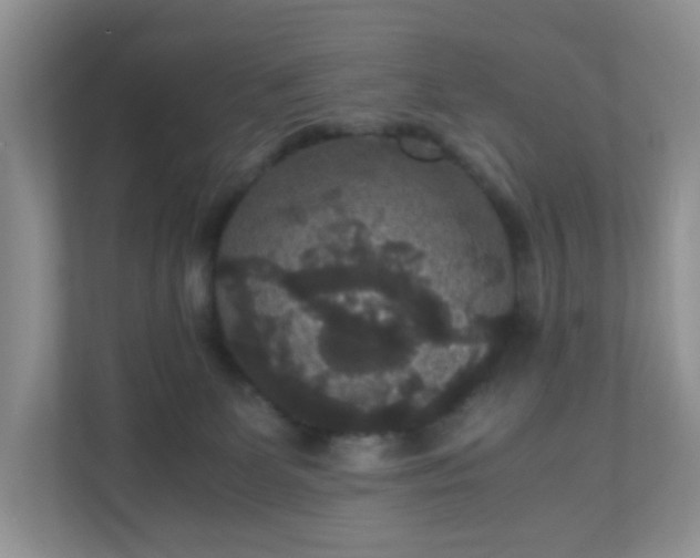 X0000110710131200906191555