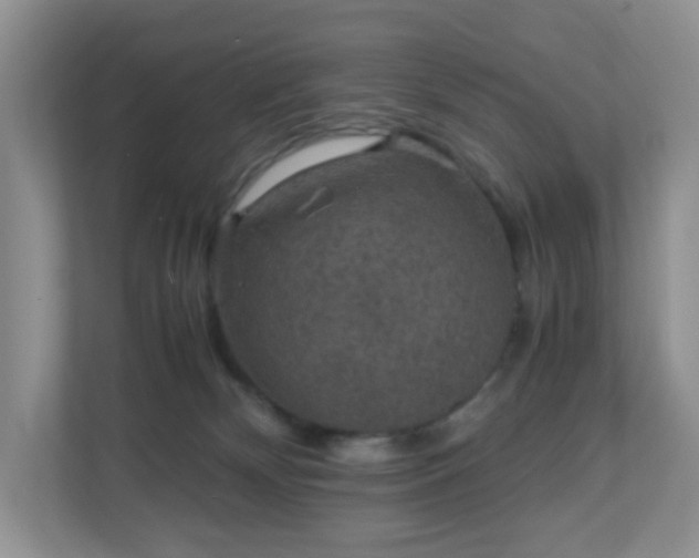 X0000110710132200906191555