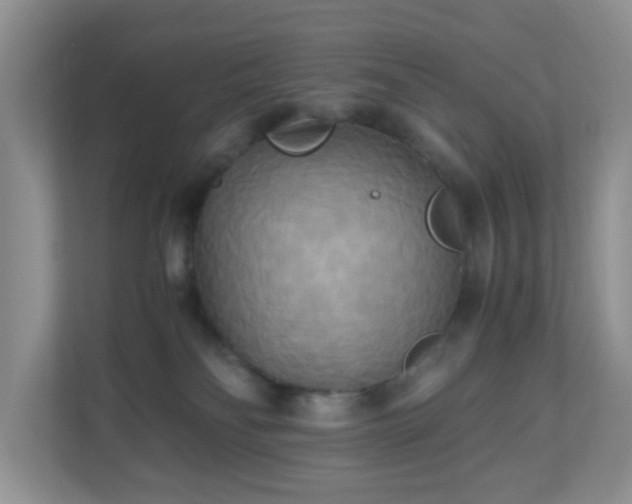 X0000110710134200906191555