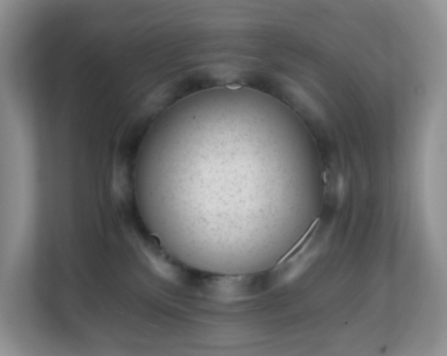 X0000110710136200906191555