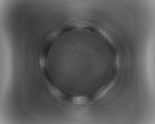 X0000110710137200906191555