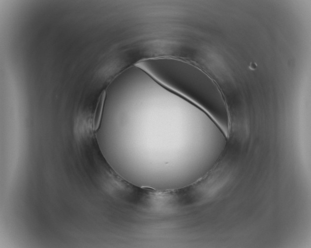 X0000110710141200906191555
