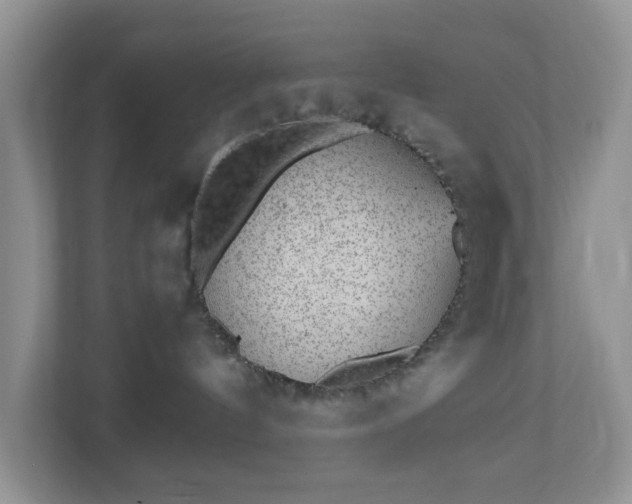 X0000110710144200906191555