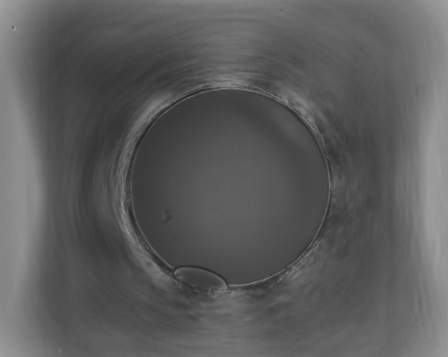X0000110710145200906191554
