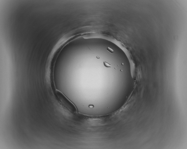X0000110710150200906191554