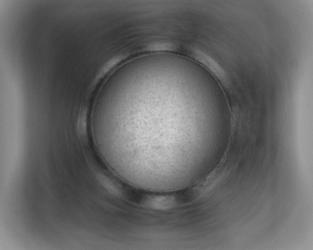 X0000110710155200906191554